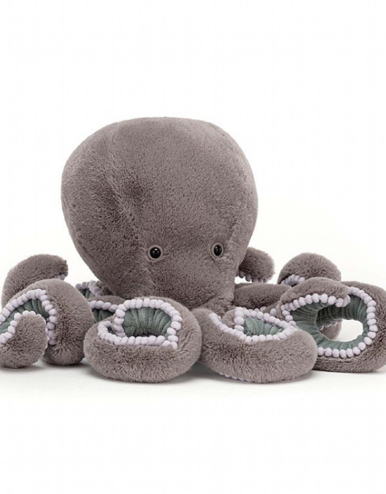 Octopus Neo