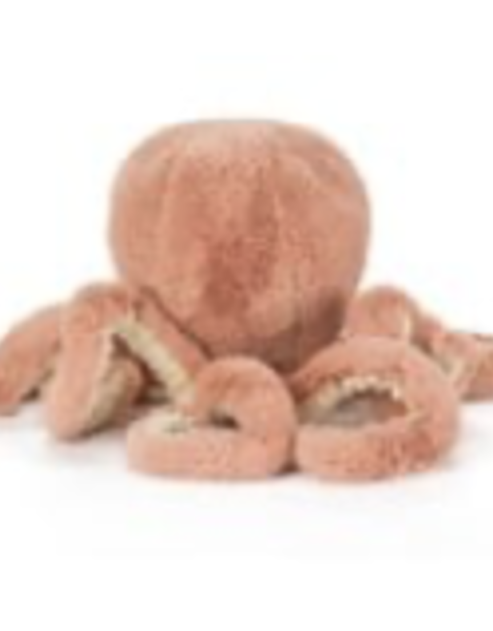 Odell Octopus Little