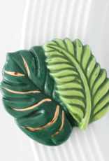 Mini Best Ferns Forever