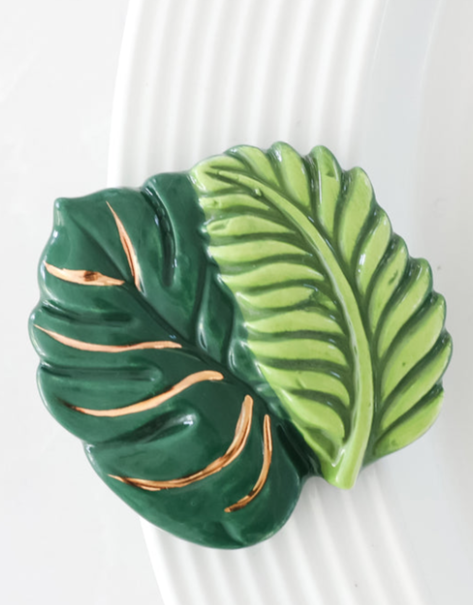 Mini Best Ferns Forever