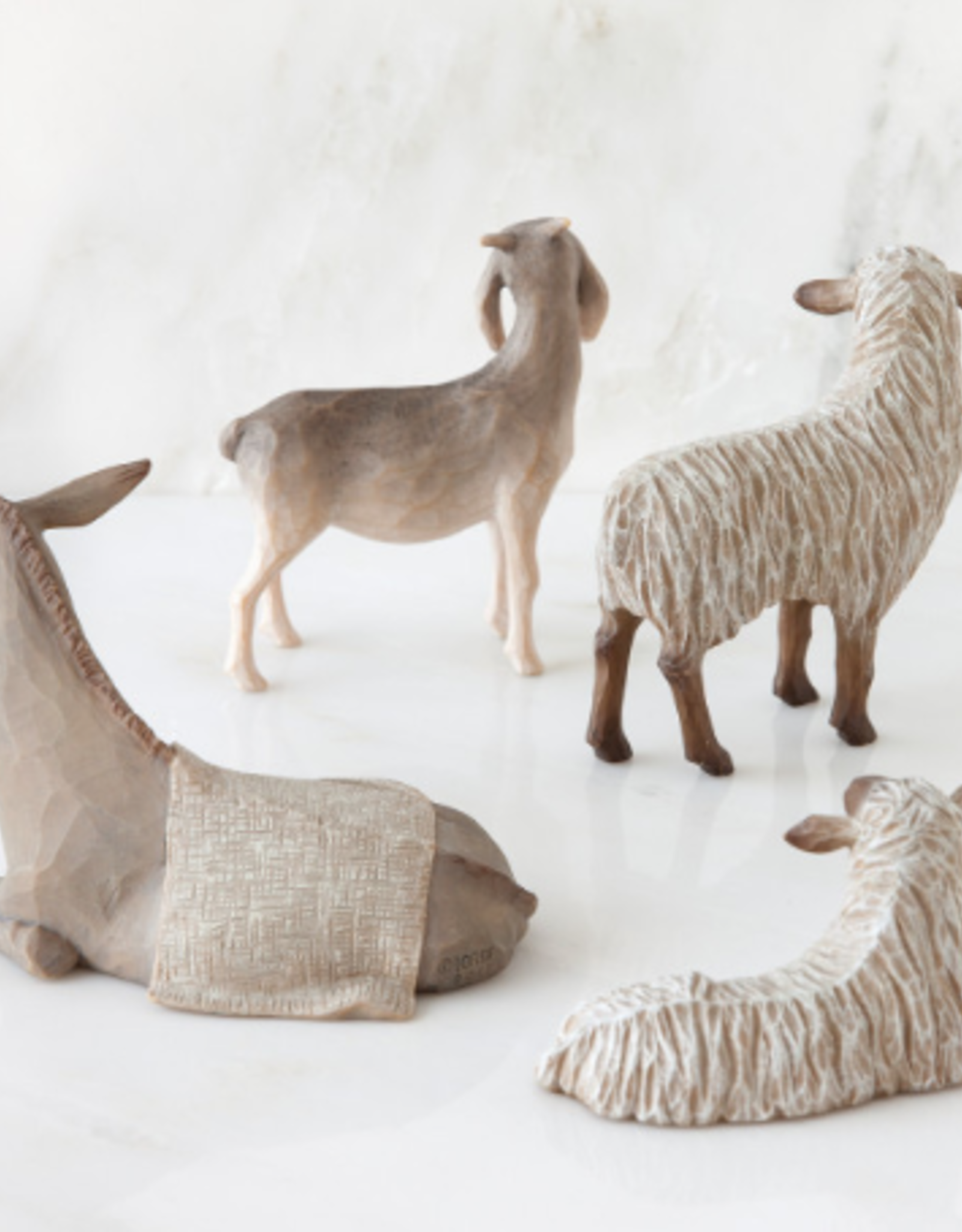 Sheltering Animals For Holy Family