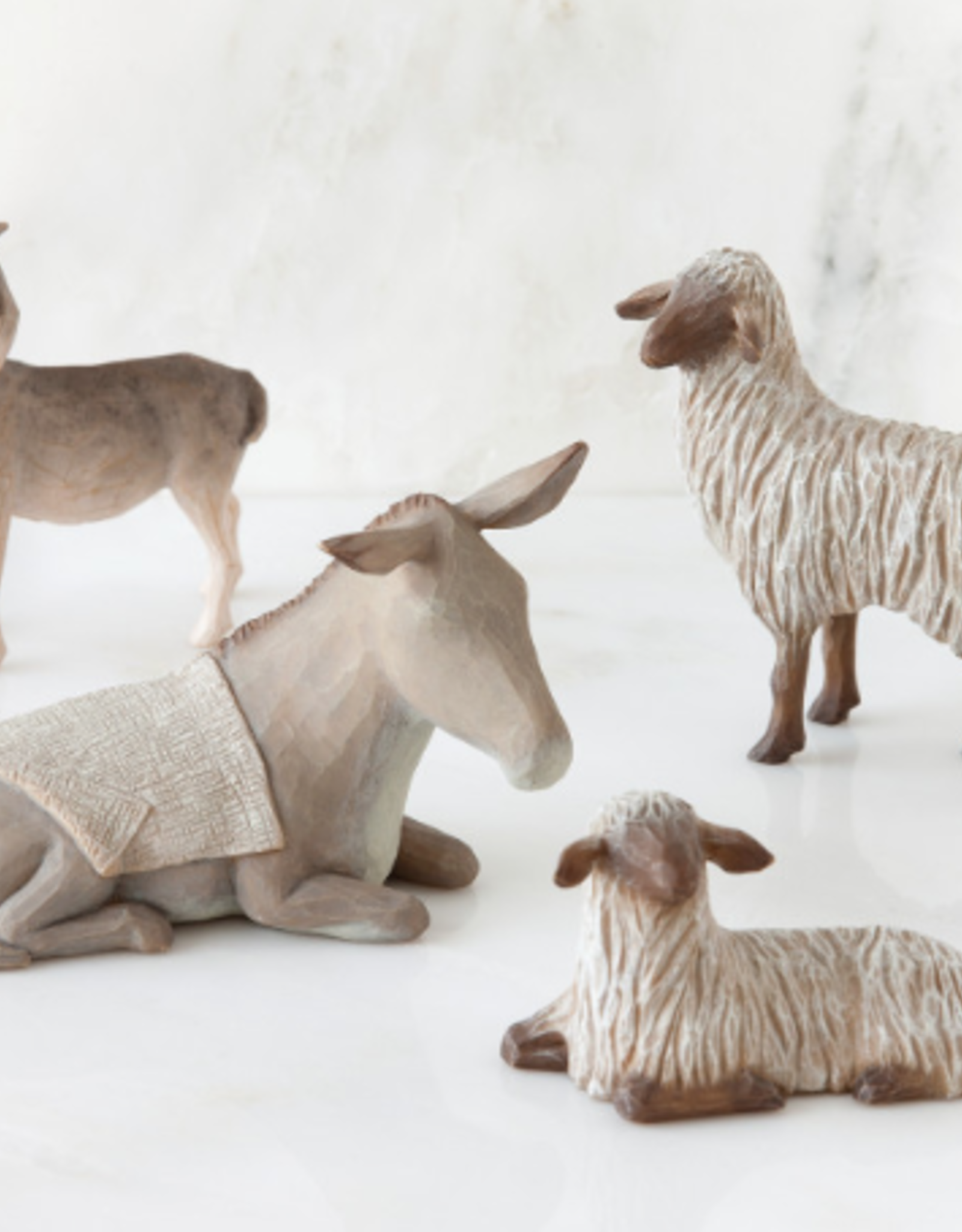 Sheltering Animals For Holy Family