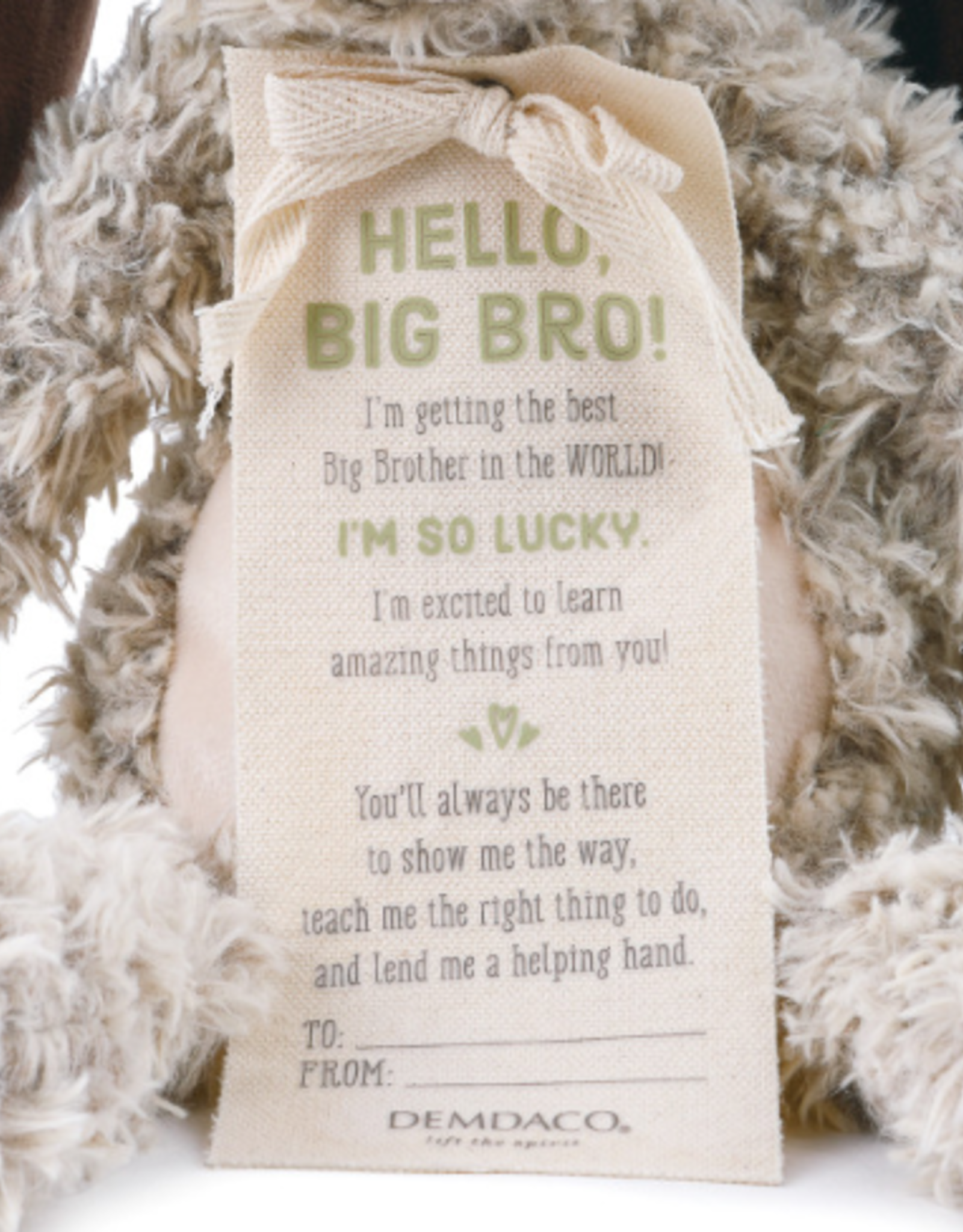 Gift From The New Kid: Big Brother