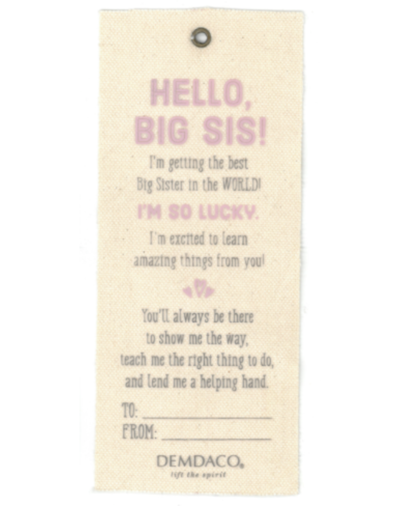 Gift From The New Kid: Big Sister