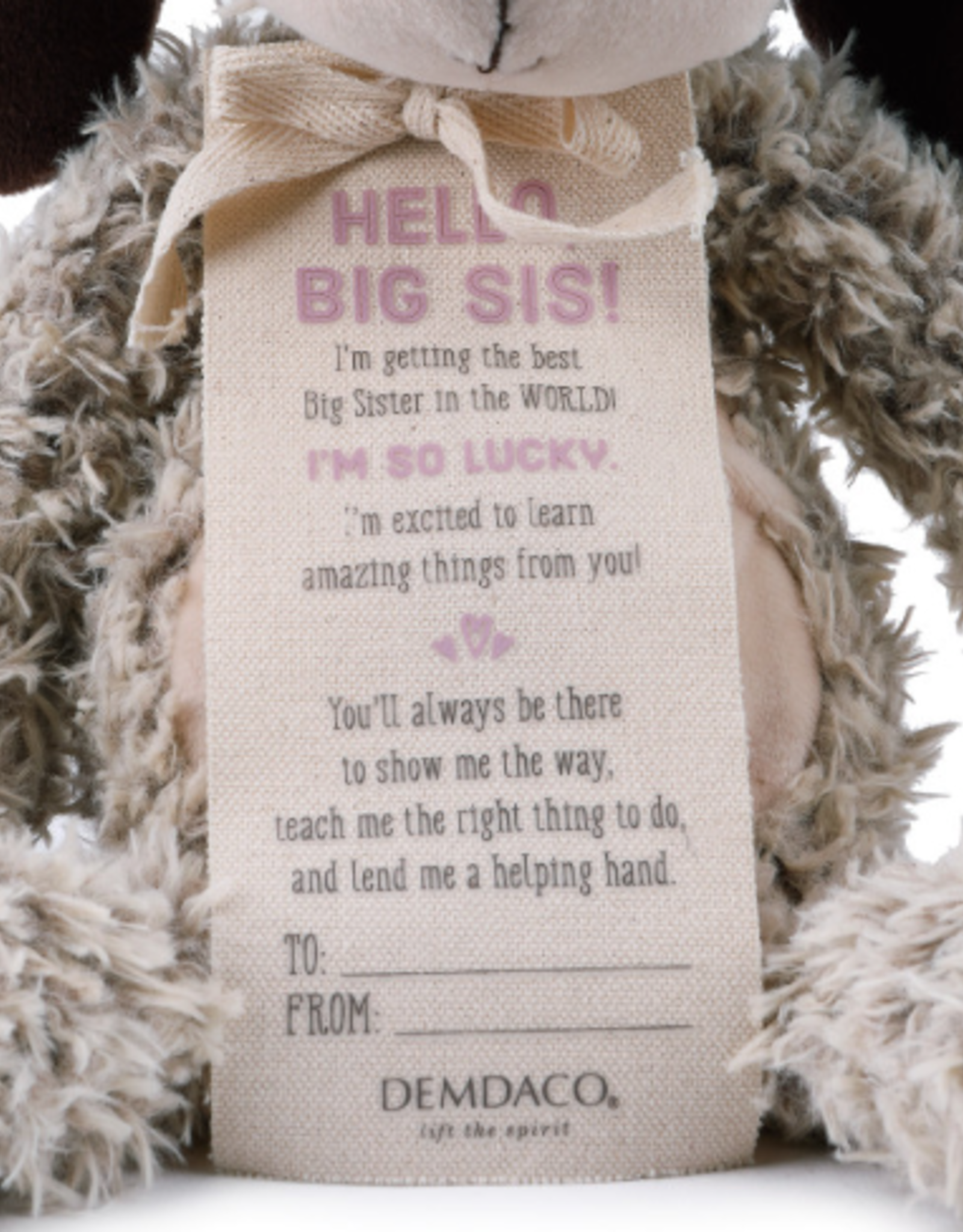 Gift From The New Kid: Big Sister