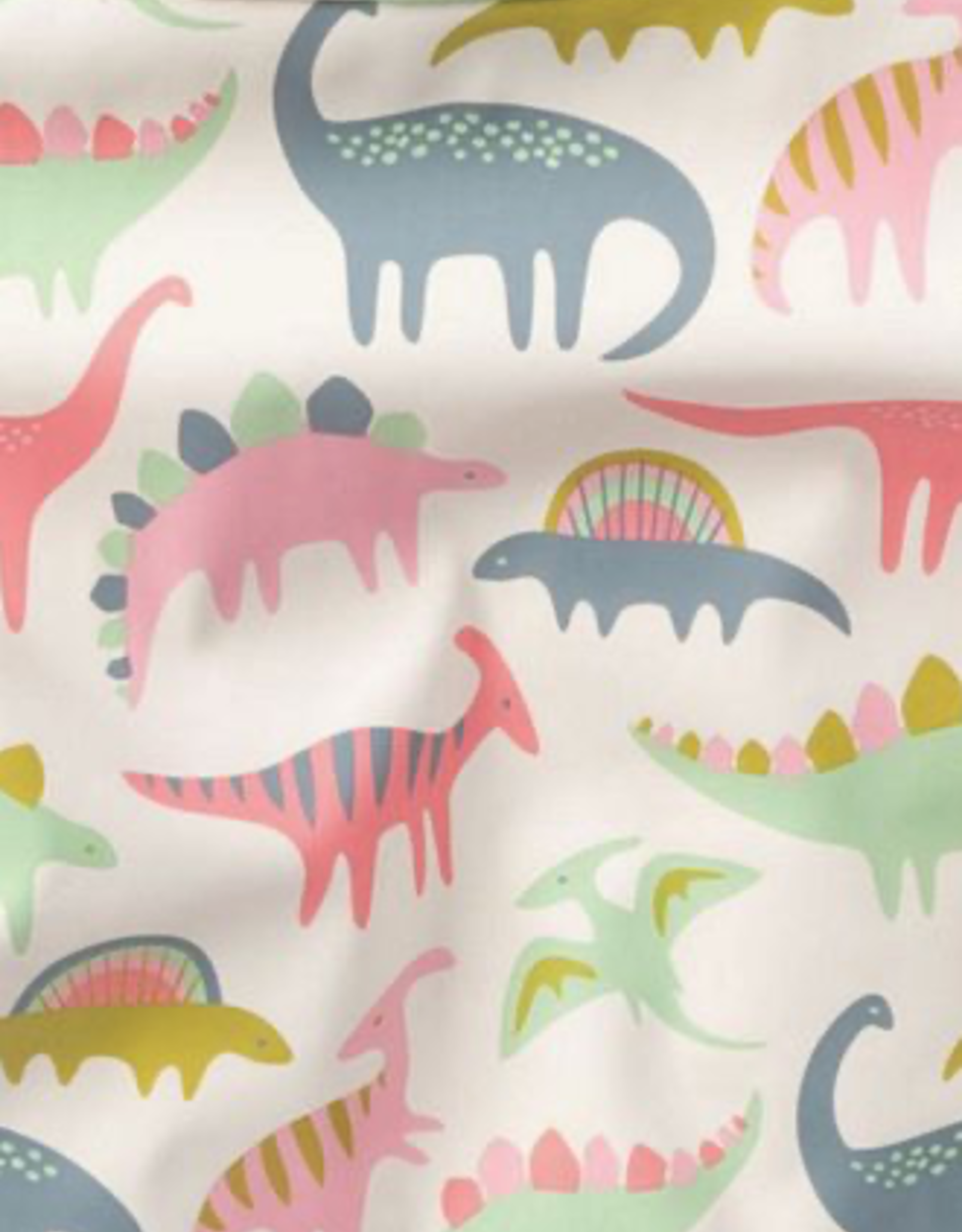 Pink Dino Raincoat