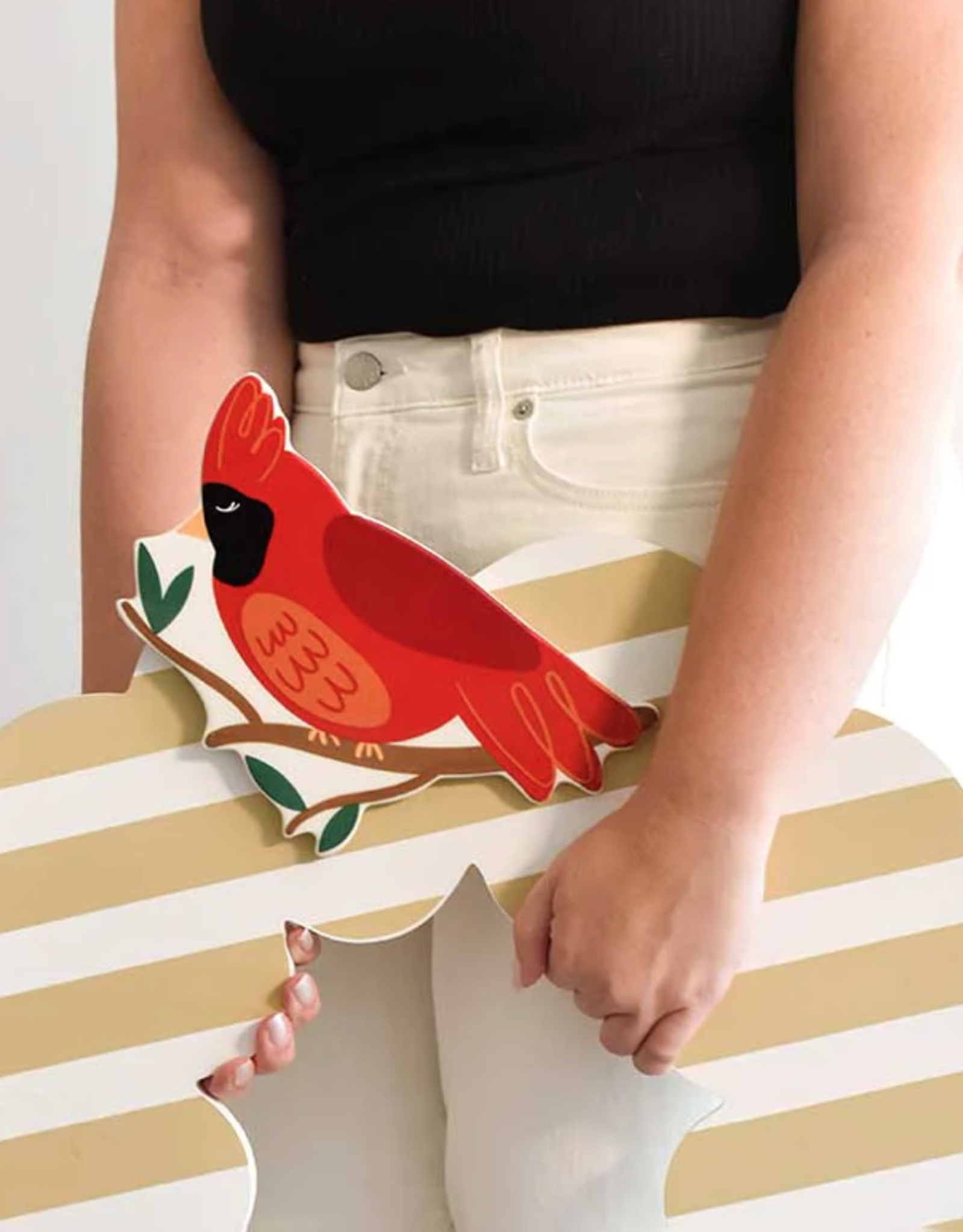Big Attachment Cardinal