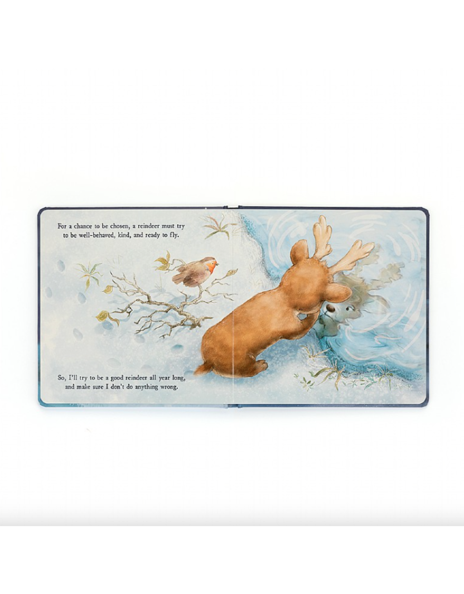 Mitzi Reindeer's Dream Book