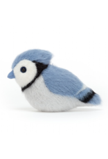 Birdling Blue Jay
