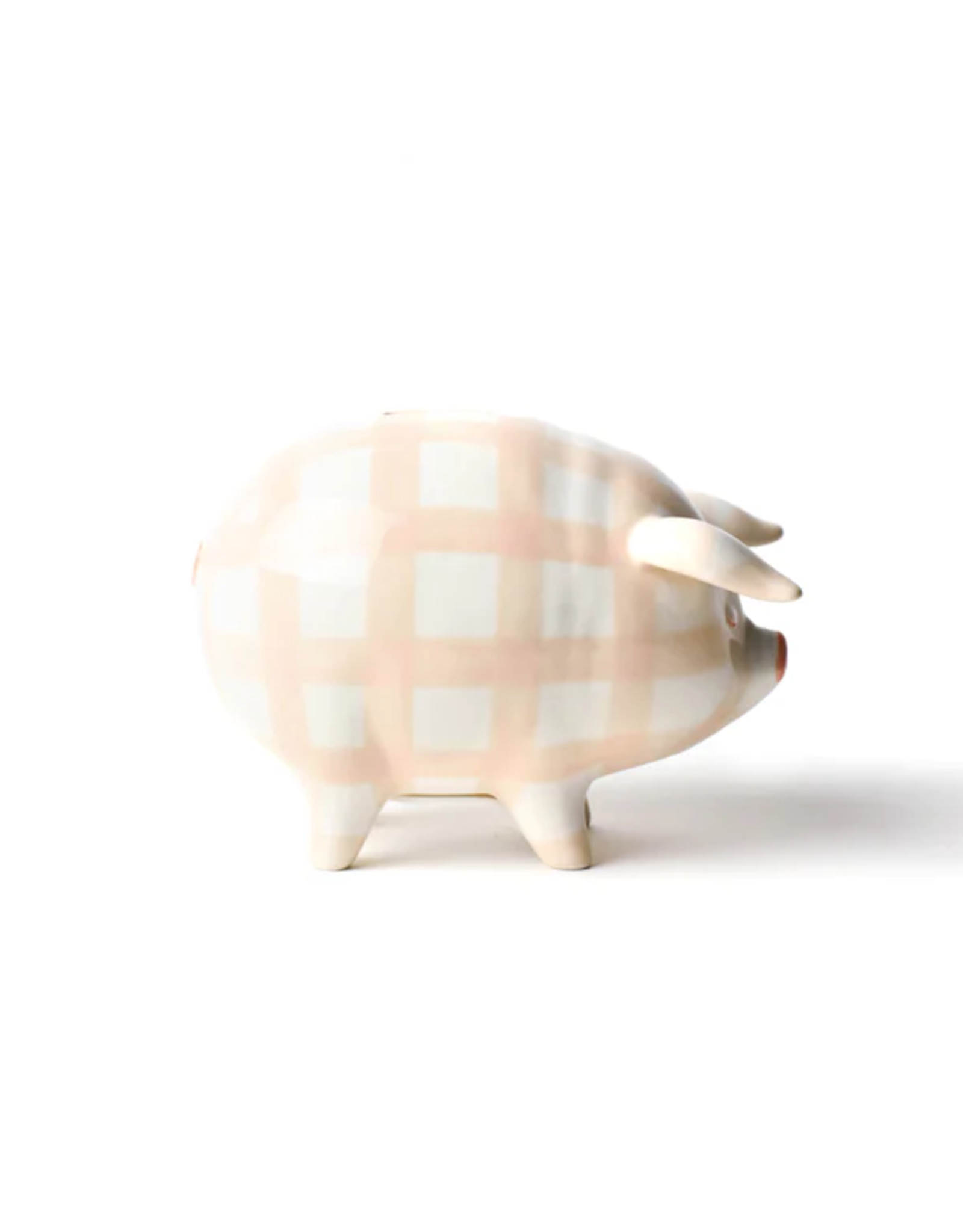 Piggy Bank Gingham Pink