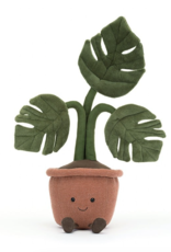 Amuseable Monstera Plant