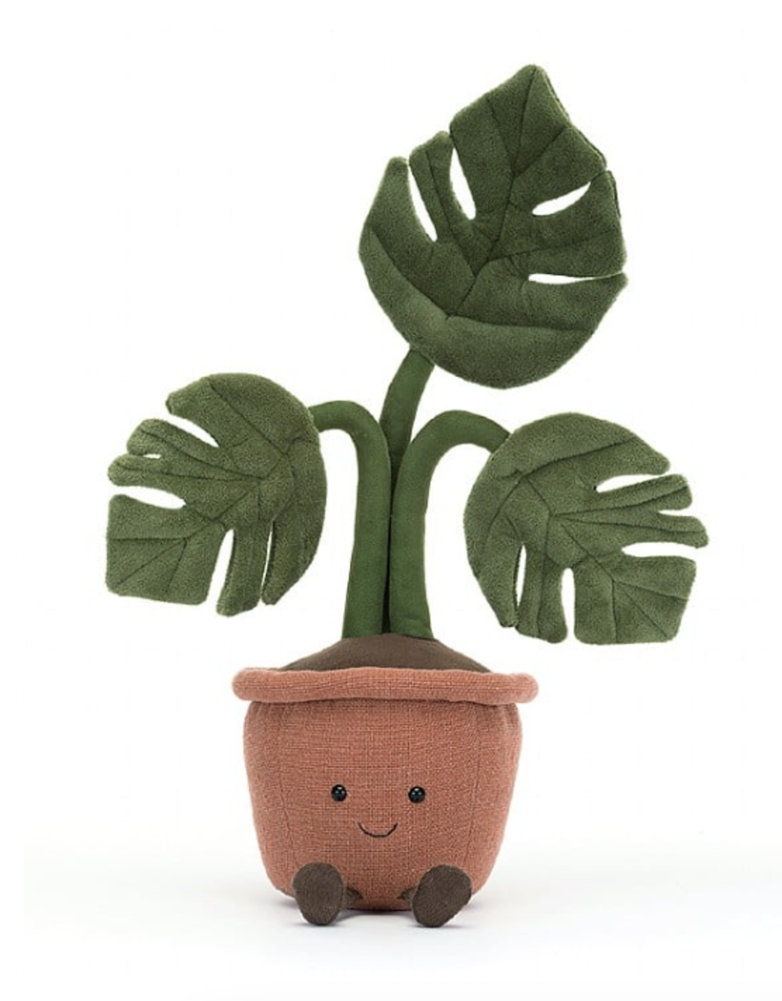 Amuseable Monstera Plant