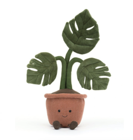 Amuseable Monstera Plant