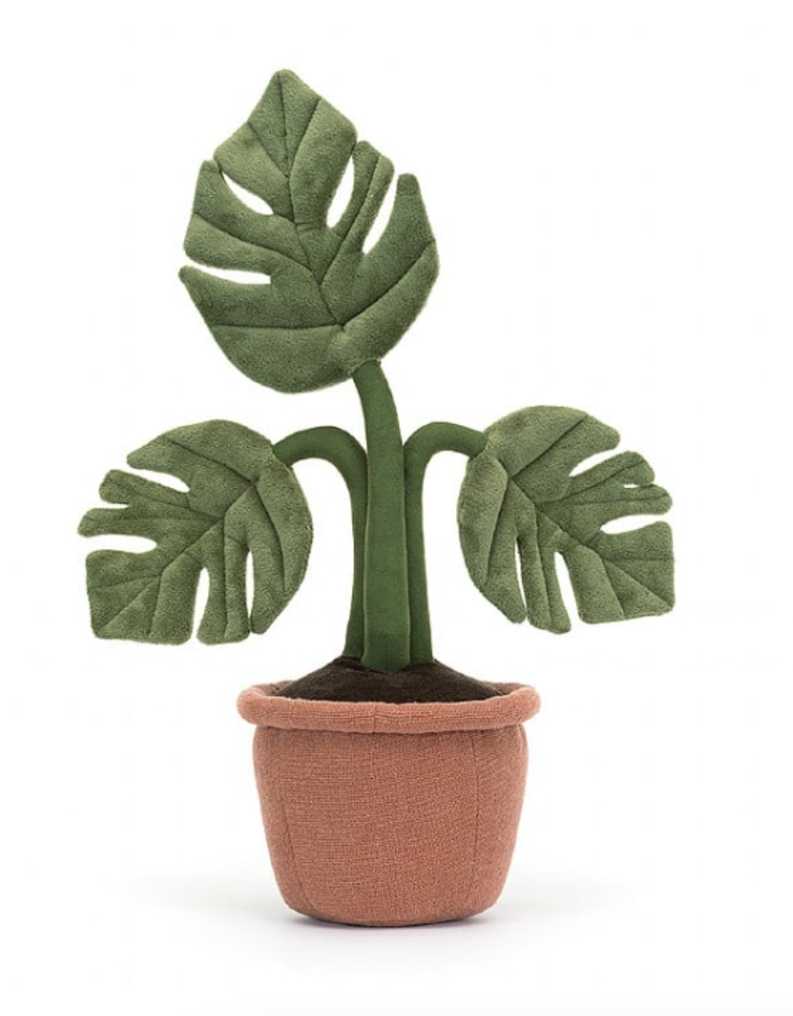 Amuseable Monstera Plant