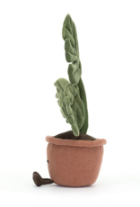 Amuseable Monstera Plant