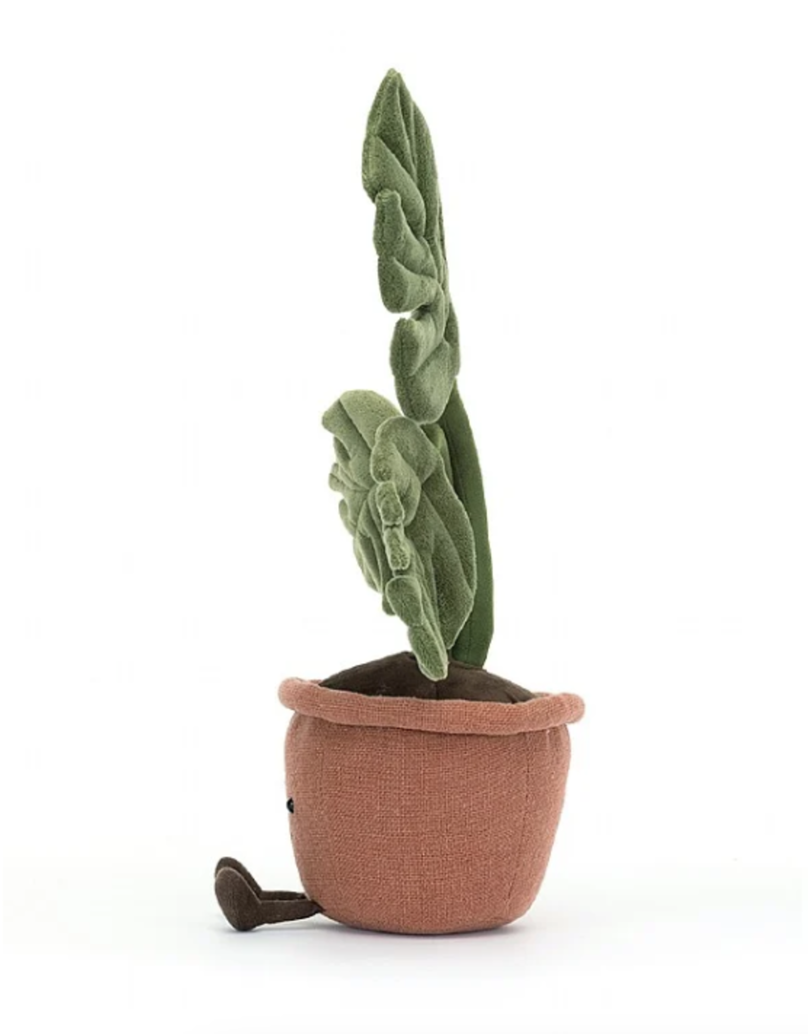 Amuseable Monstera Plant