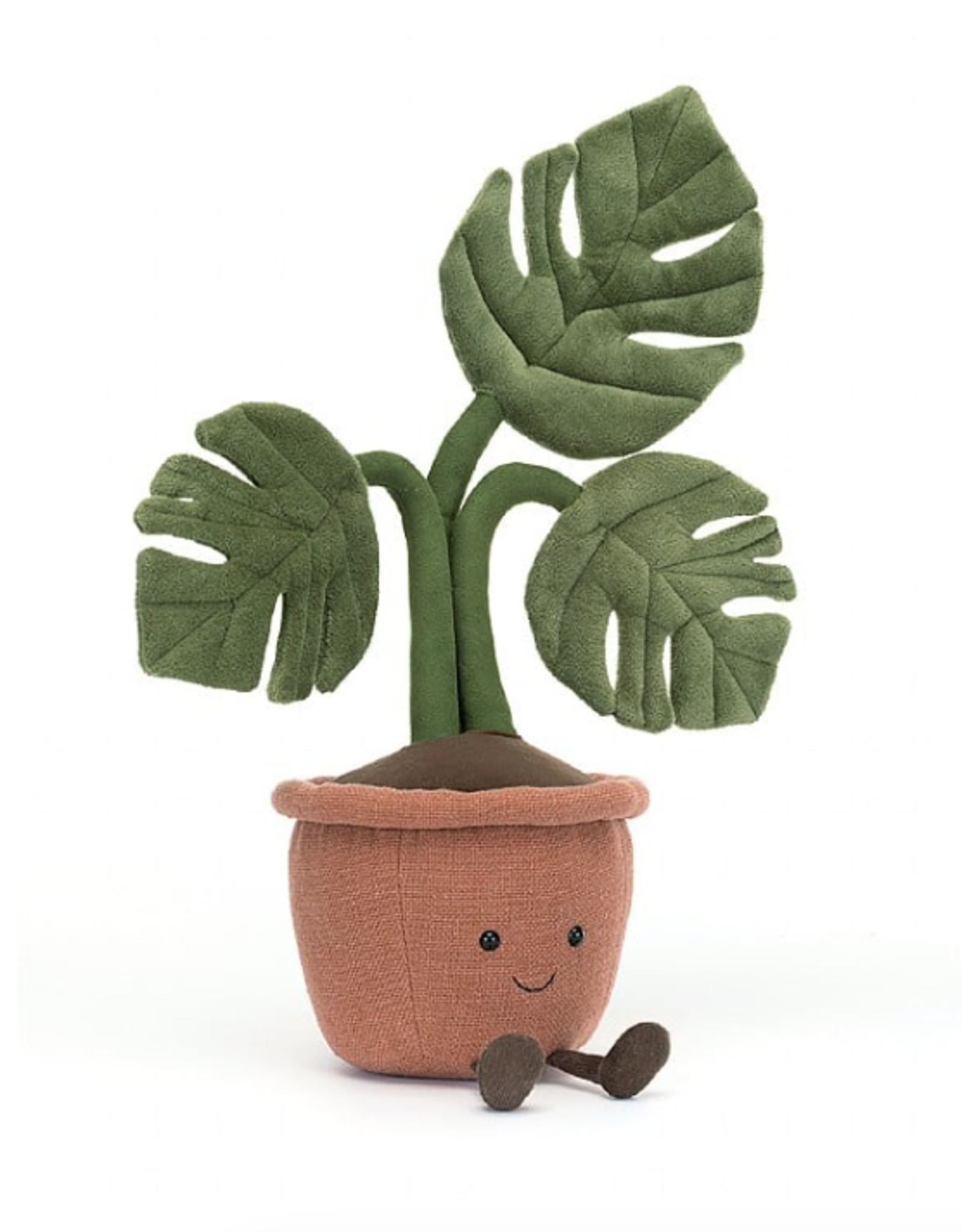 Amuseable Monstera Plant