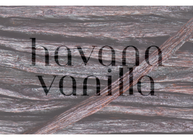 Havana Vanilla
