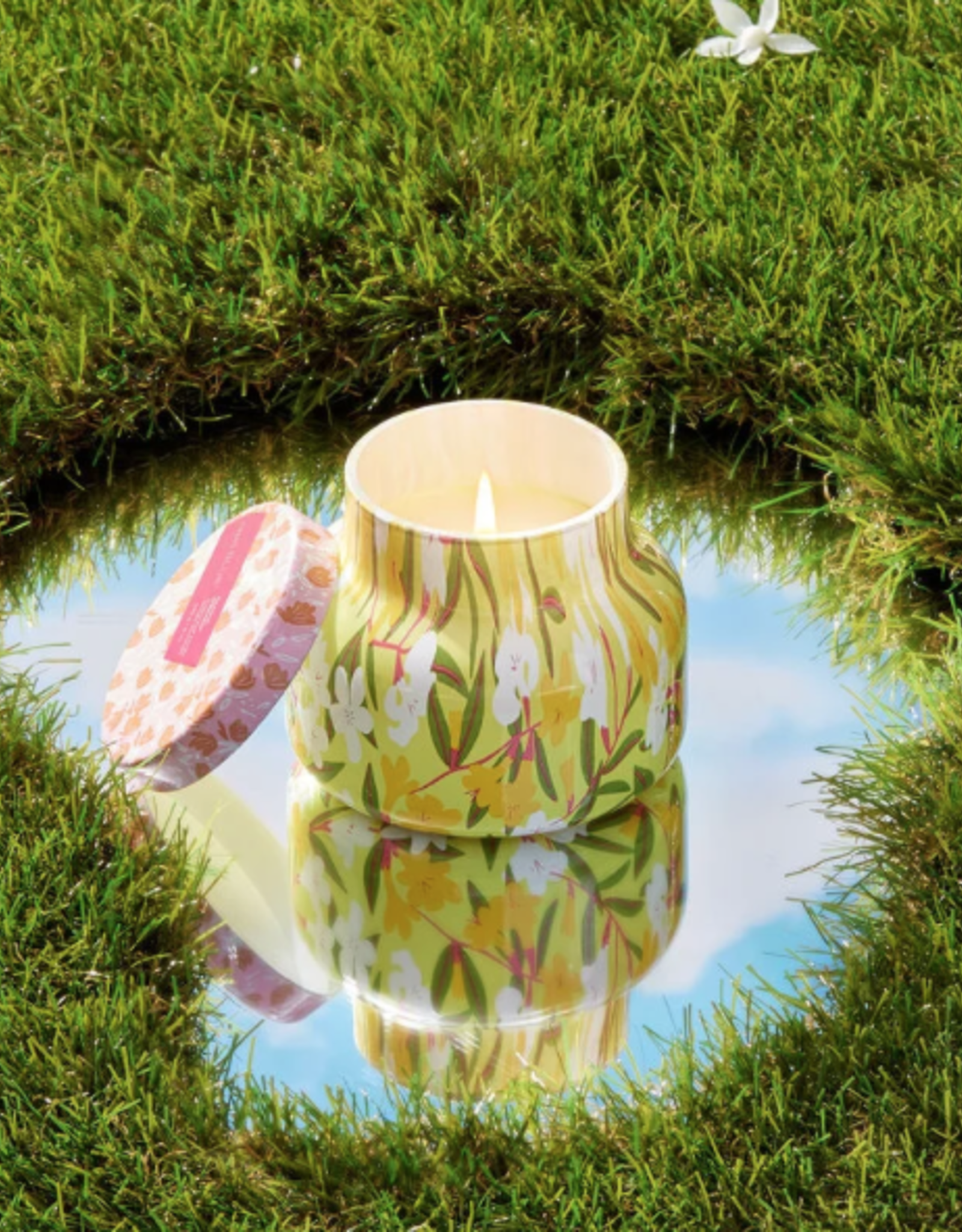 Candle 8oz Petite Pattern Play Aloha Orchid
