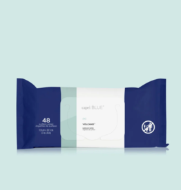 Surface Wipes Volcano