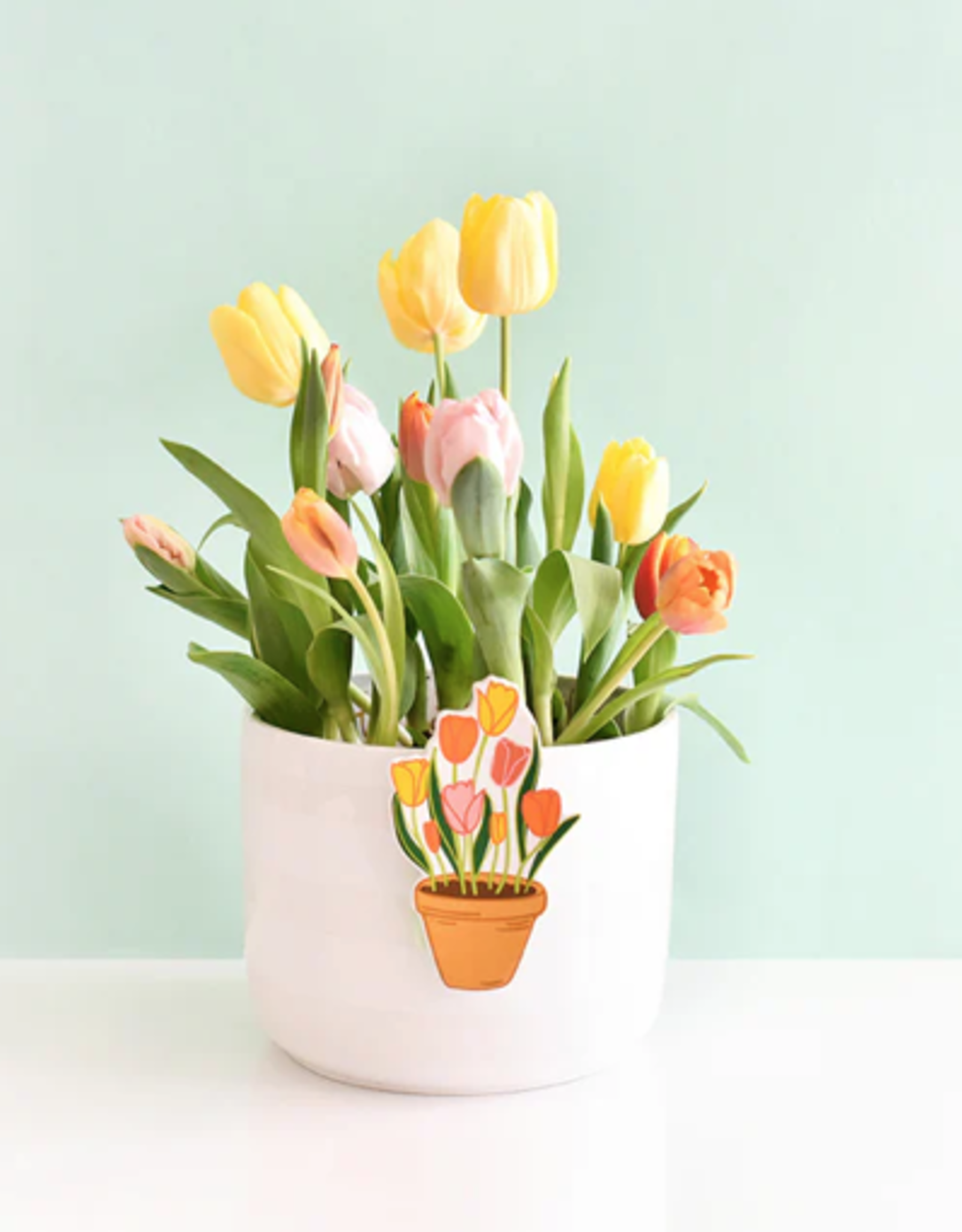 Mini Attachment Pot Of Tulips