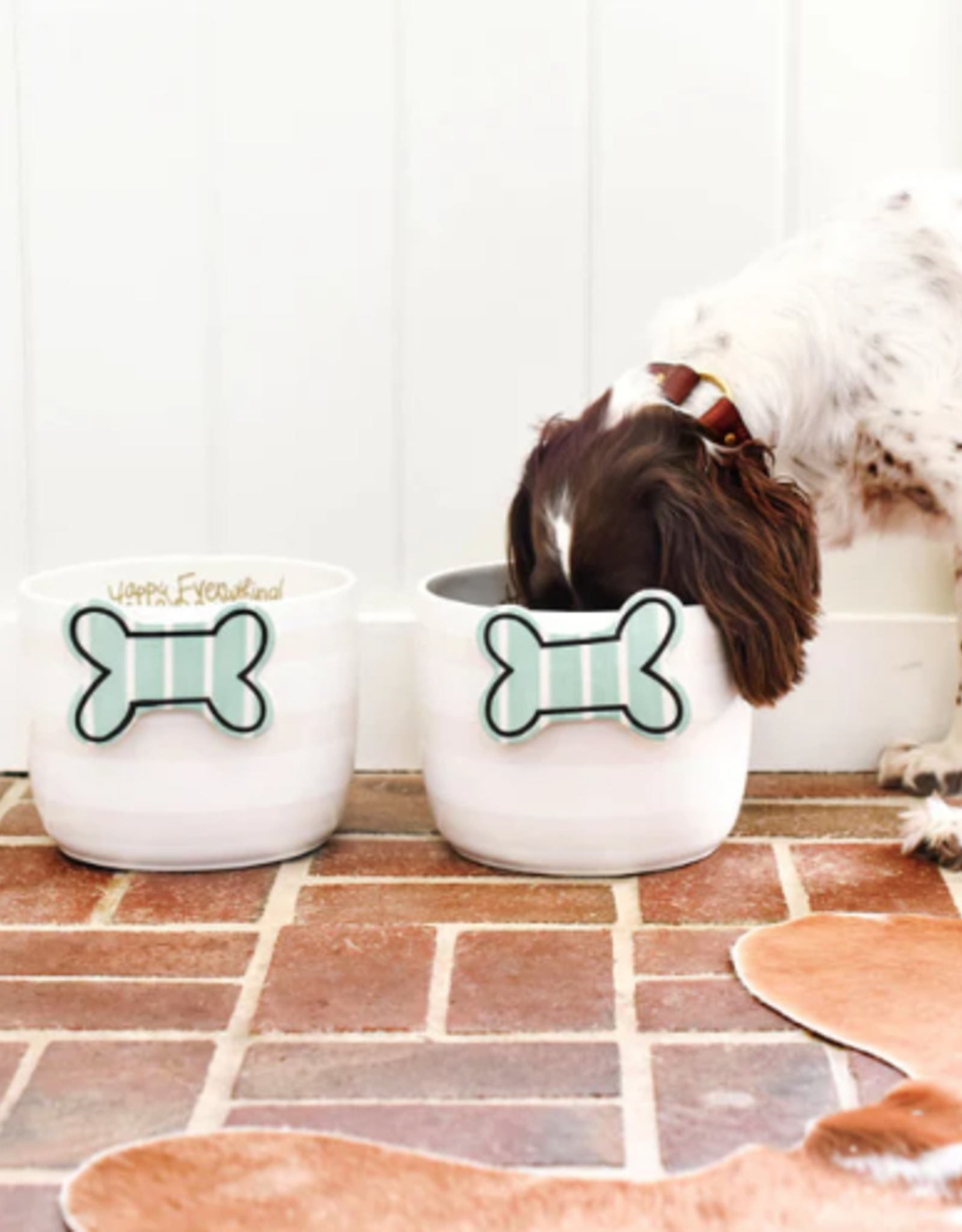 Big Attachment Striped Bone
