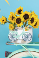 Big Attachment Bicycle