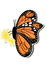 Big Attachment Monarch