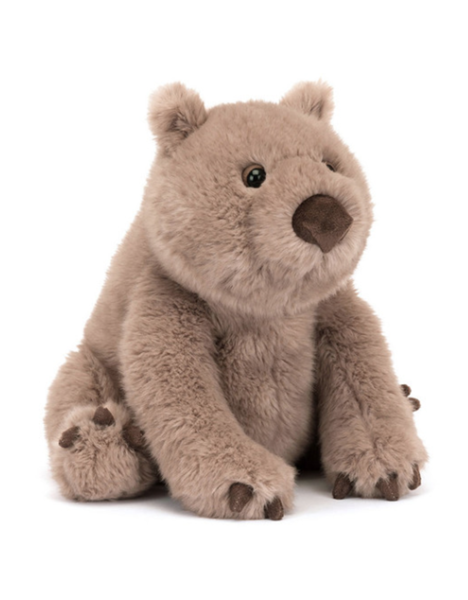 Wonda Wombat