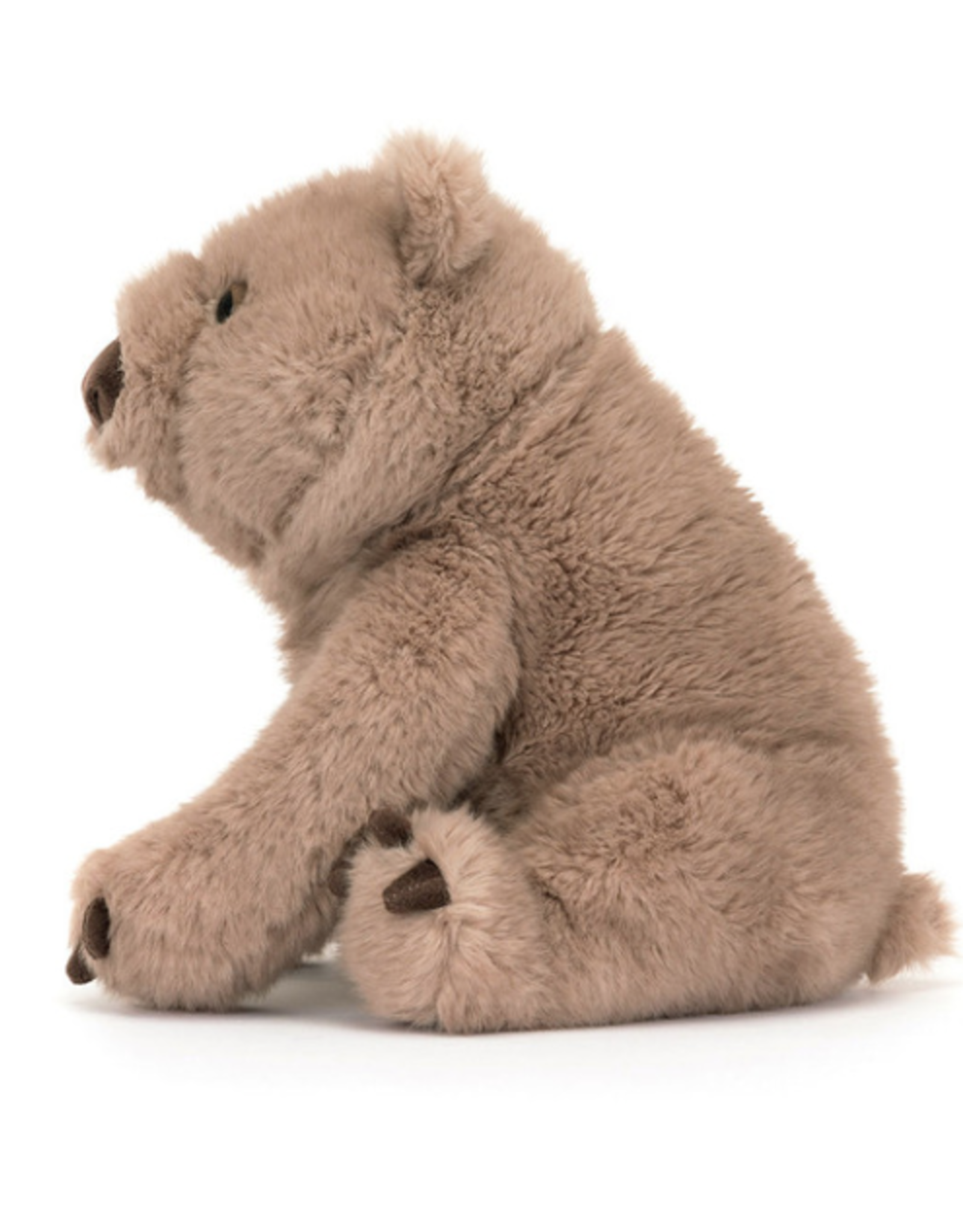 Wonda Wombat