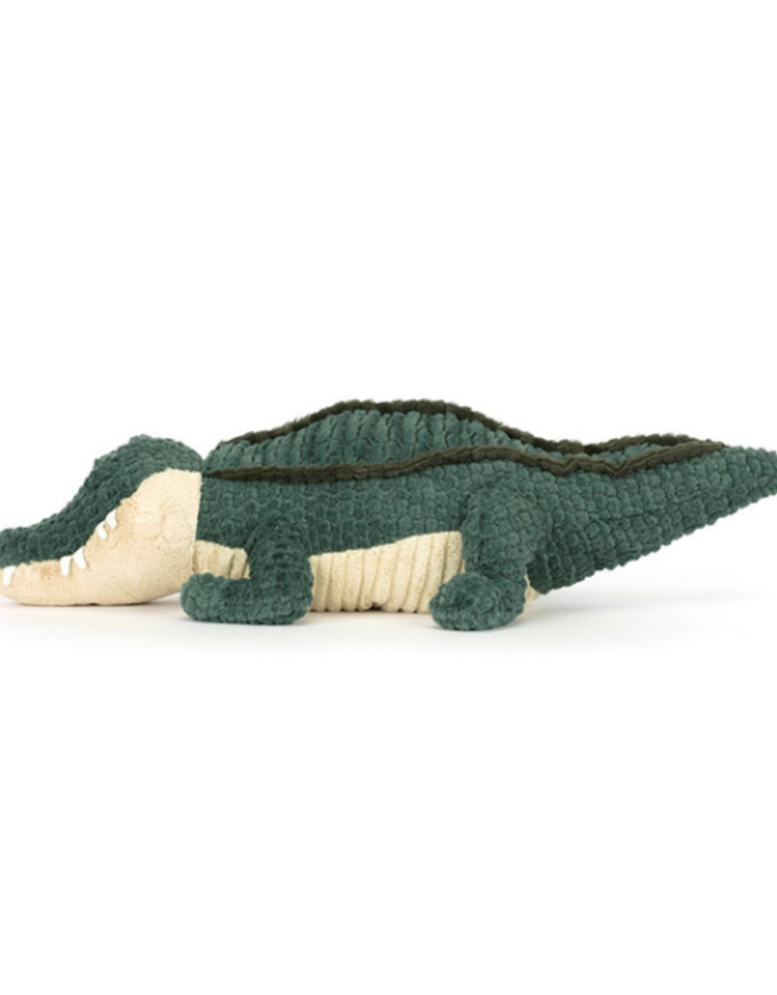 Allexi Alligator