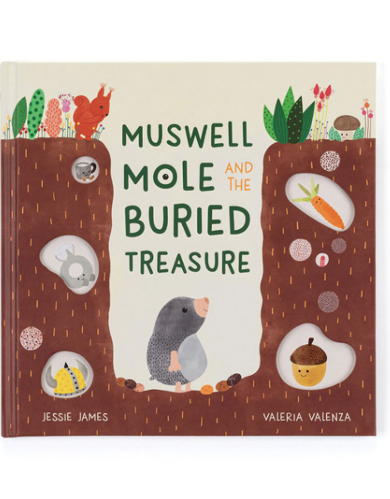 Muswell Mole & The Buried Treasure Book