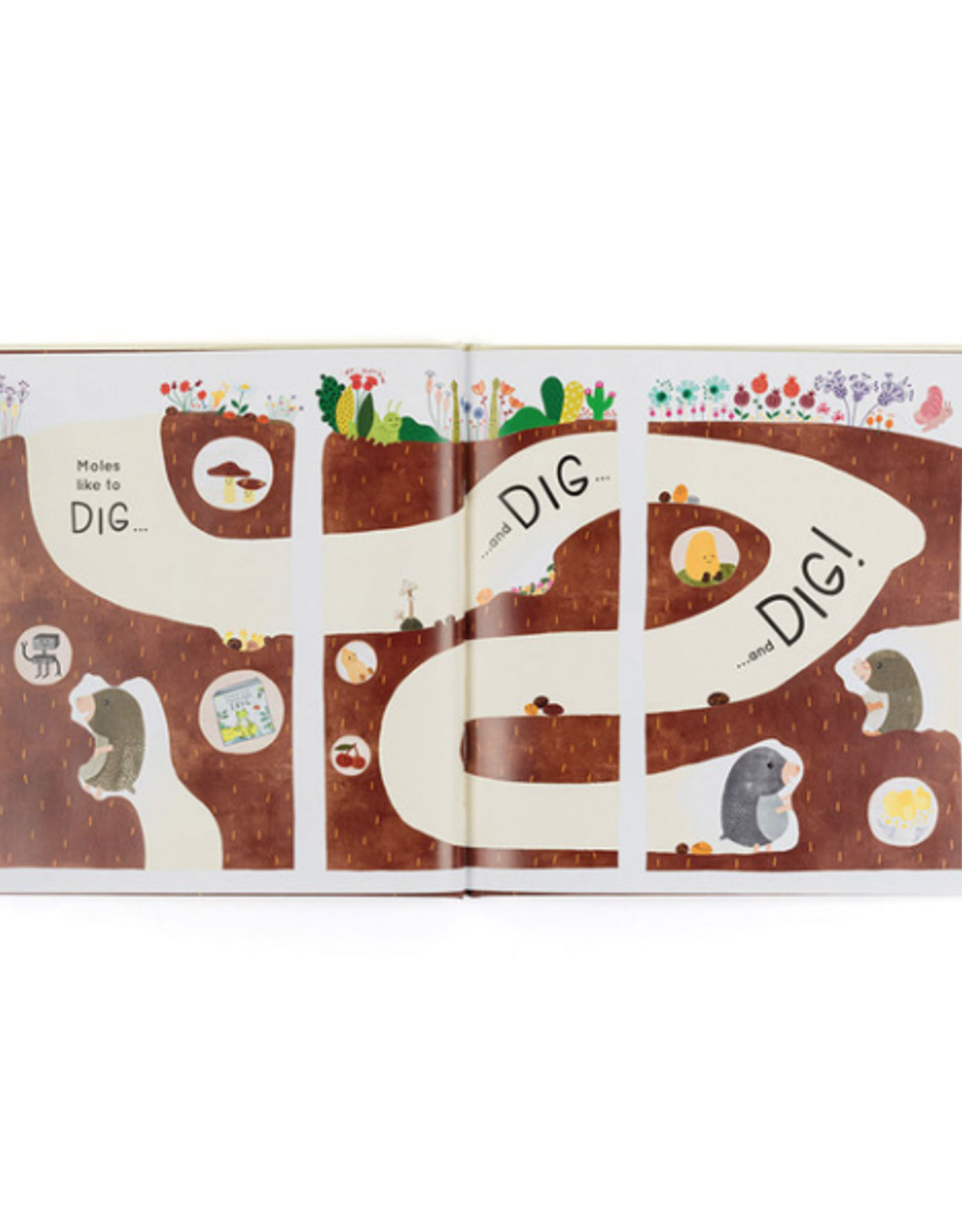 Muswell Mole & The Buried Treasure Book