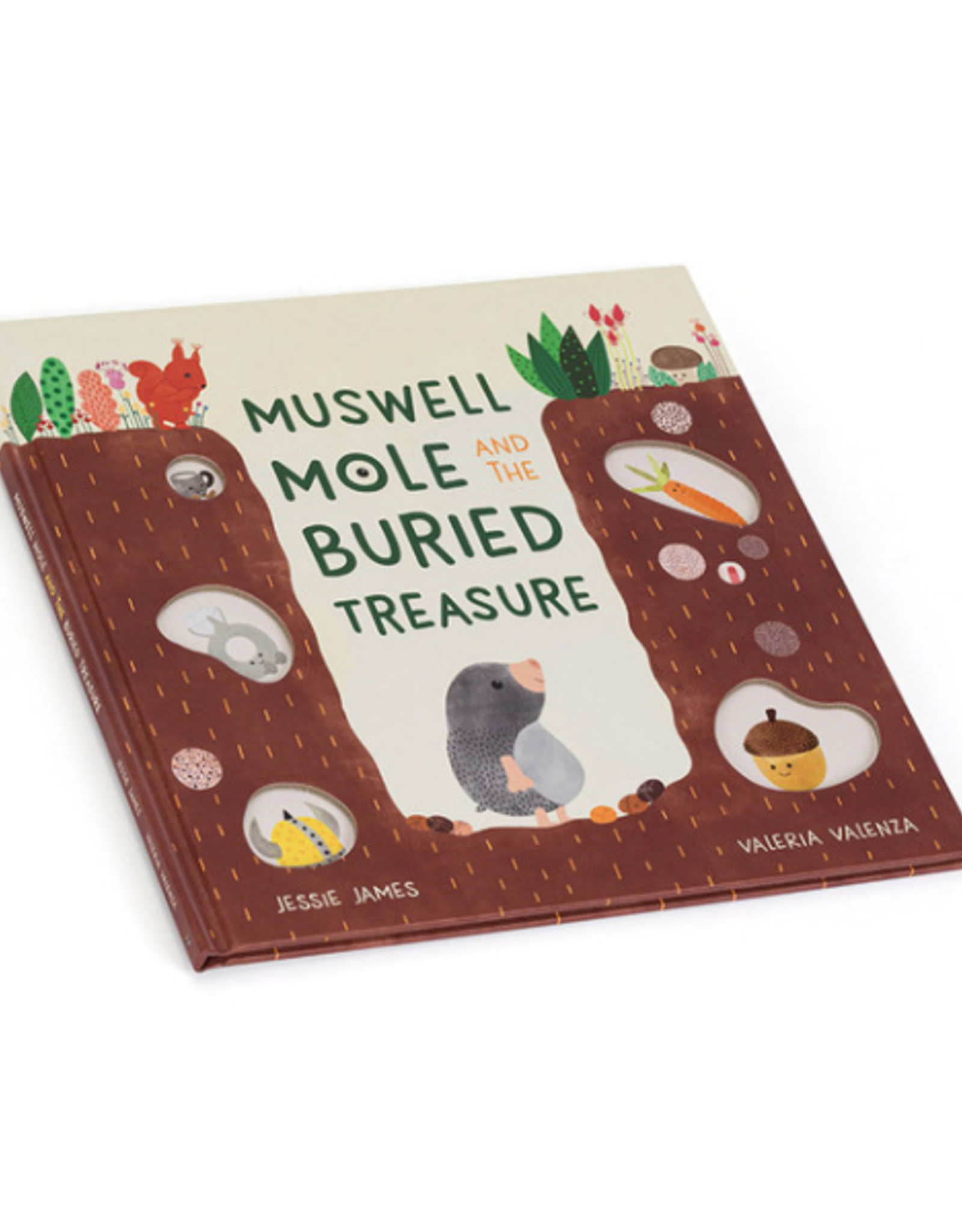 Muswell Mole & The Buried Treasure Book