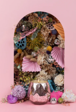 Bridgewater Candle Company Candle Sweet Grace #011