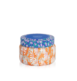 Travel Tin Pattern Play 8.5oz Havana Vanilla