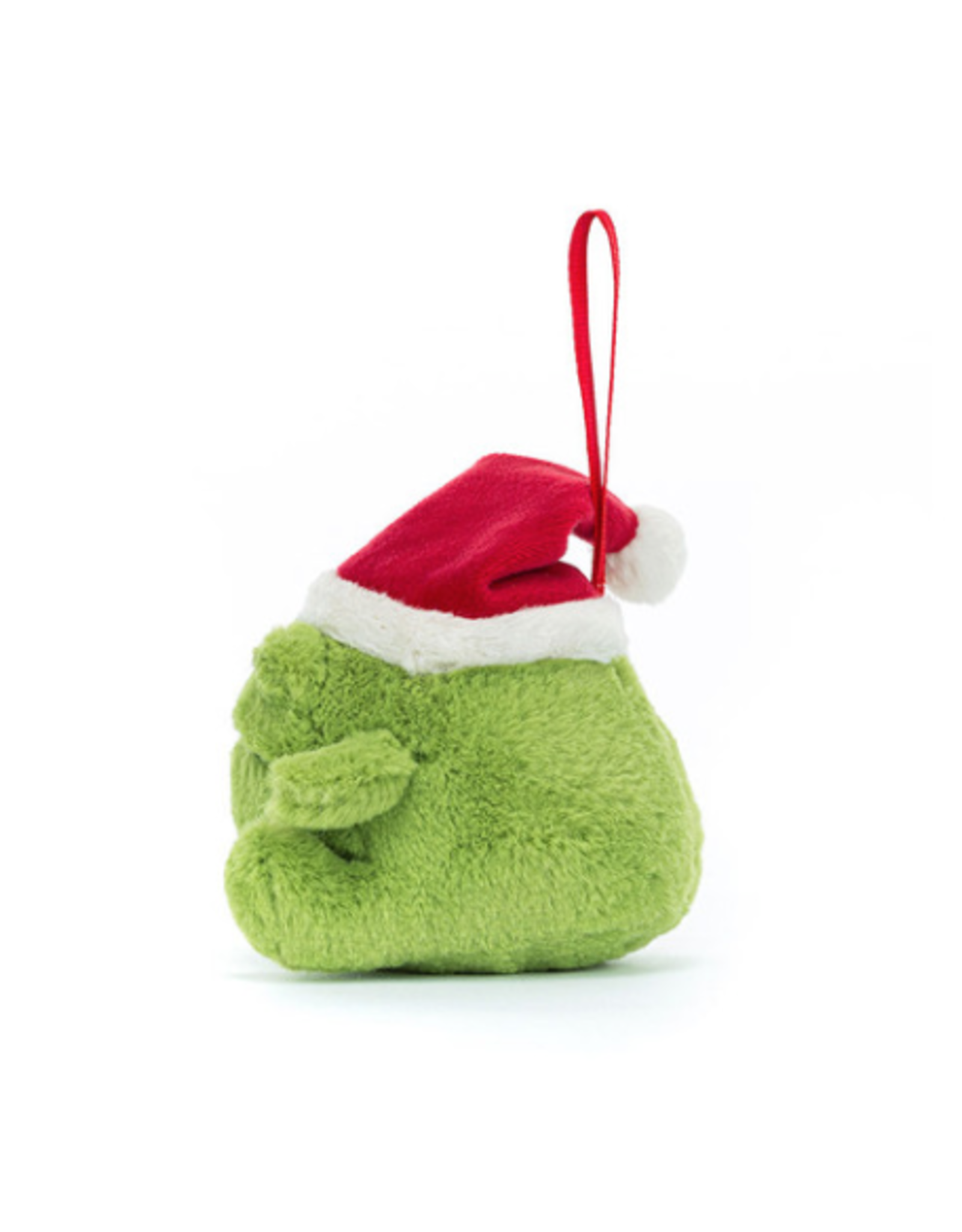 Ricky Rain Frog Decoration