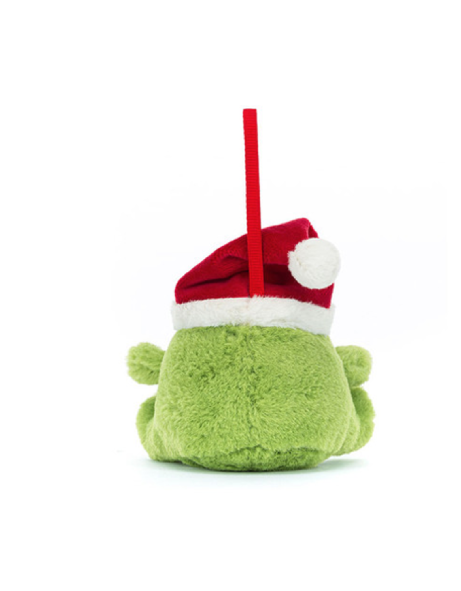 Ricky Rain Frog Decoration