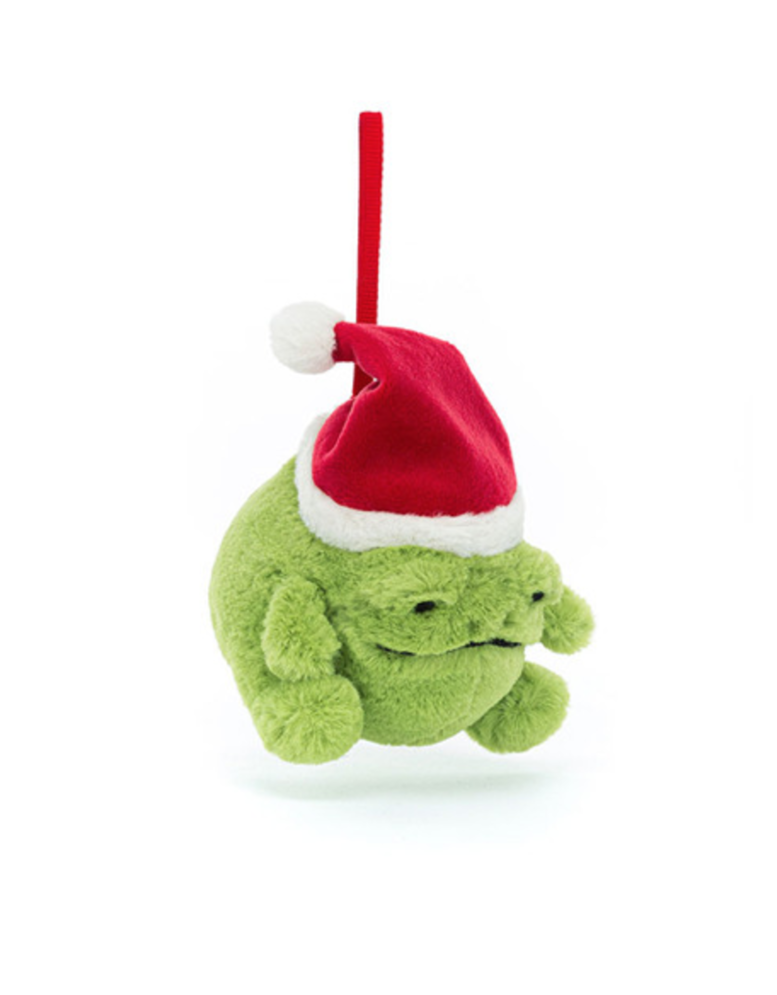 Ricky Rain Frog Decoration