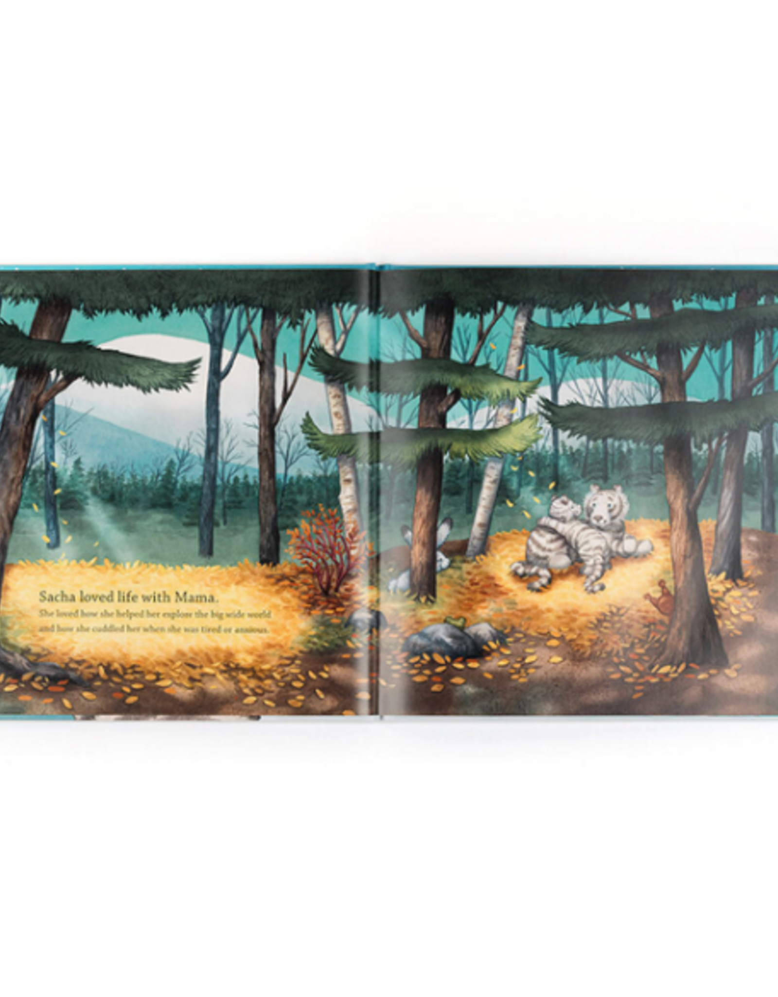 Sacha & The Most Wonderful Thing Book