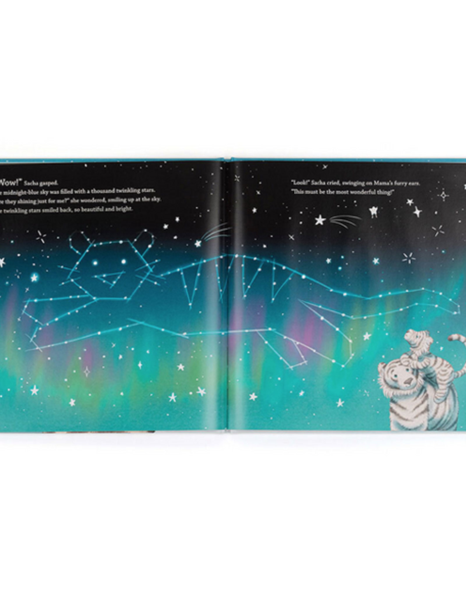 Sacha & The Most Wonderful Thing Book