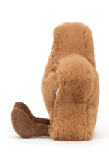 Amuseables Star Cookie