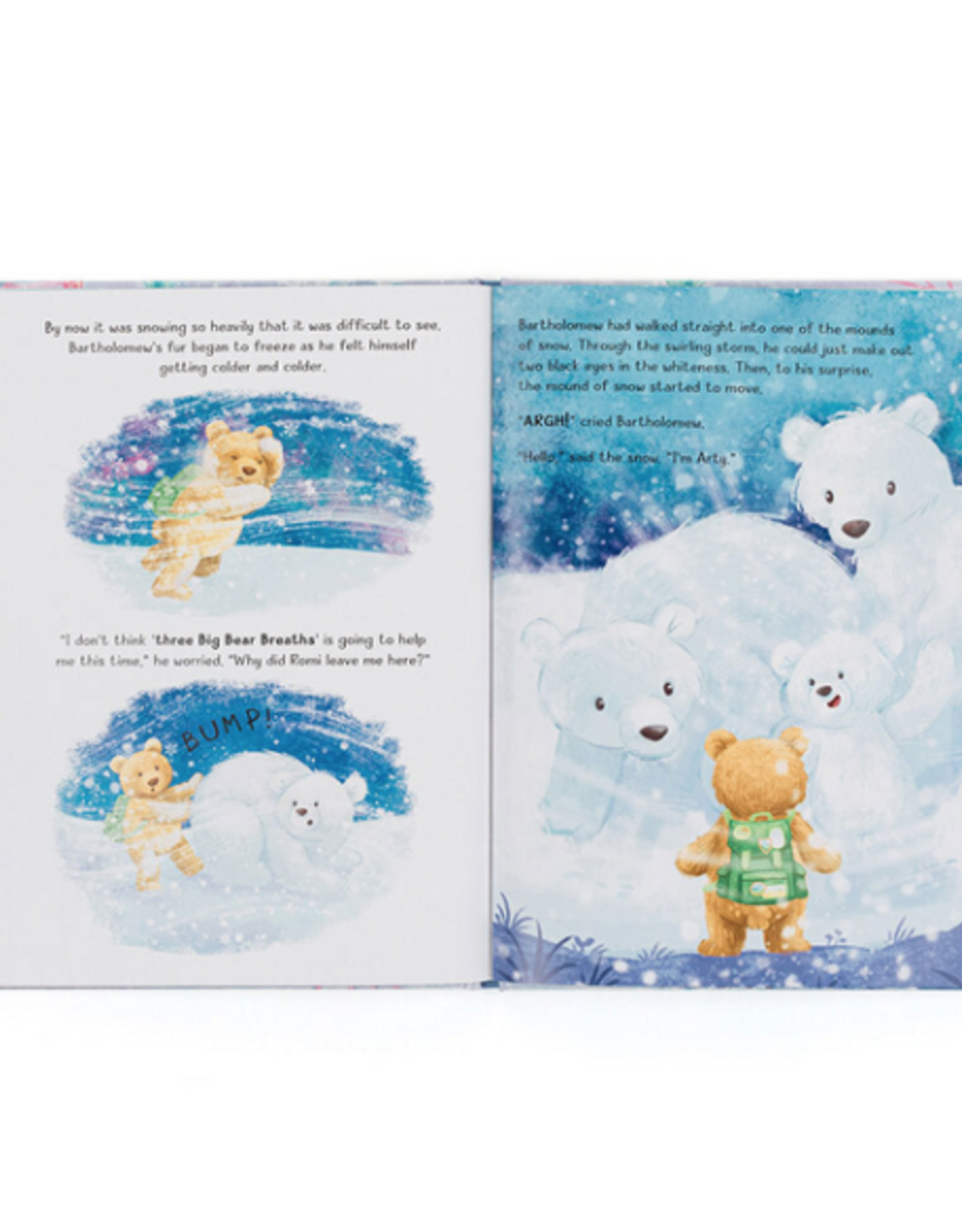 Bartholomew Bear And The Snow Giants Book