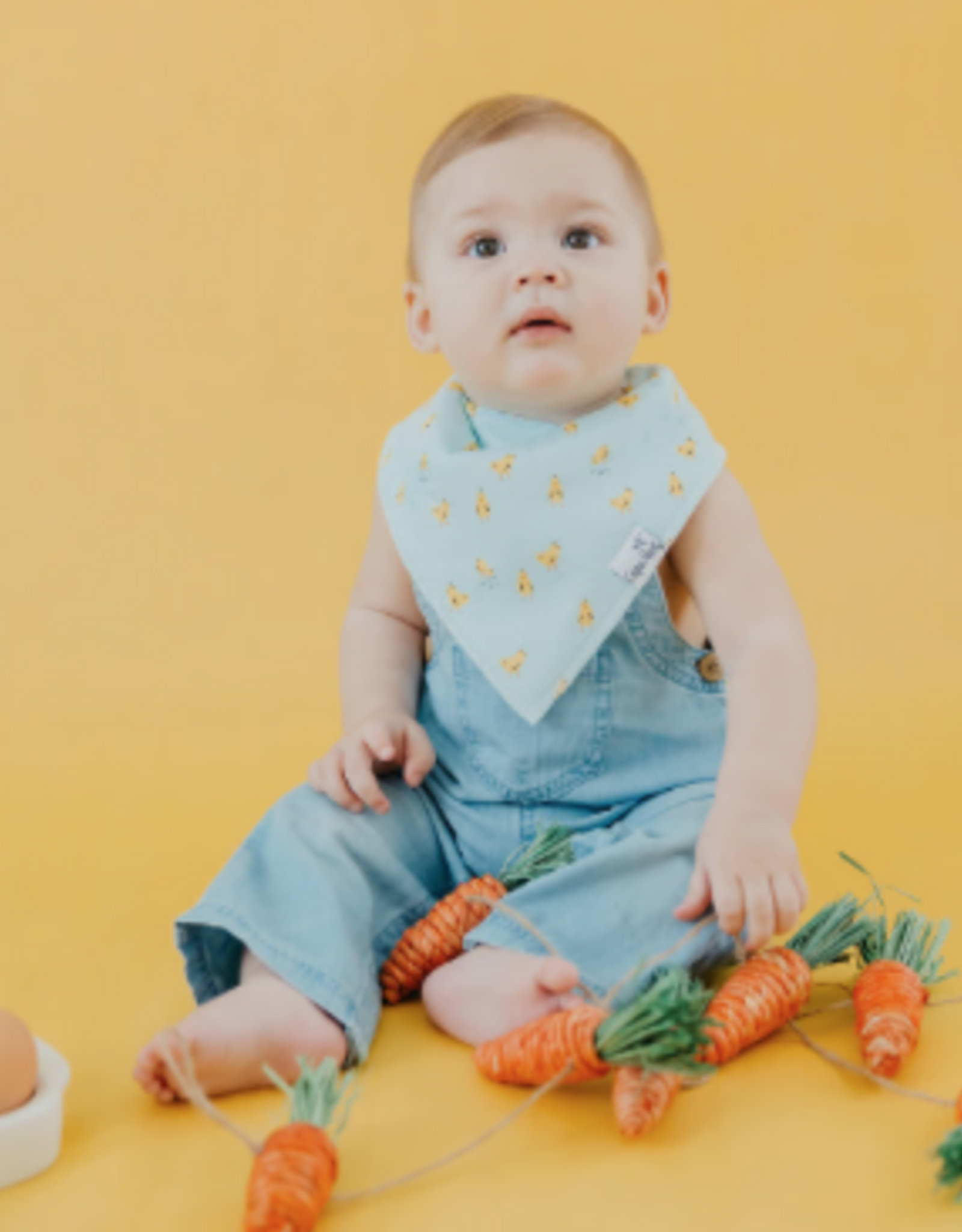 Bandana Bib Set Peter 4pk