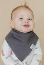 Bandana Bib 4 Pack Ace