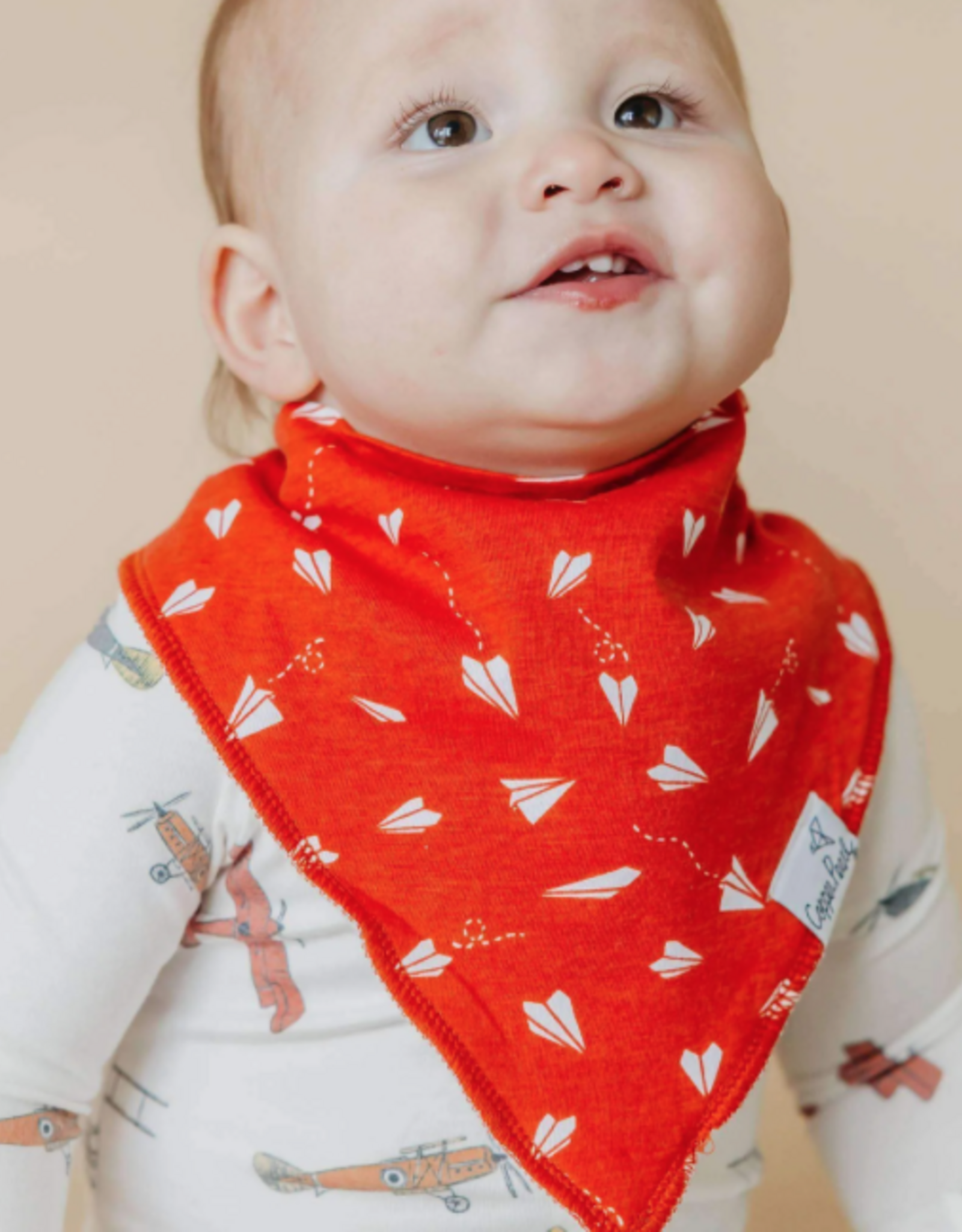 Bandana Bib 4 Pack Ace