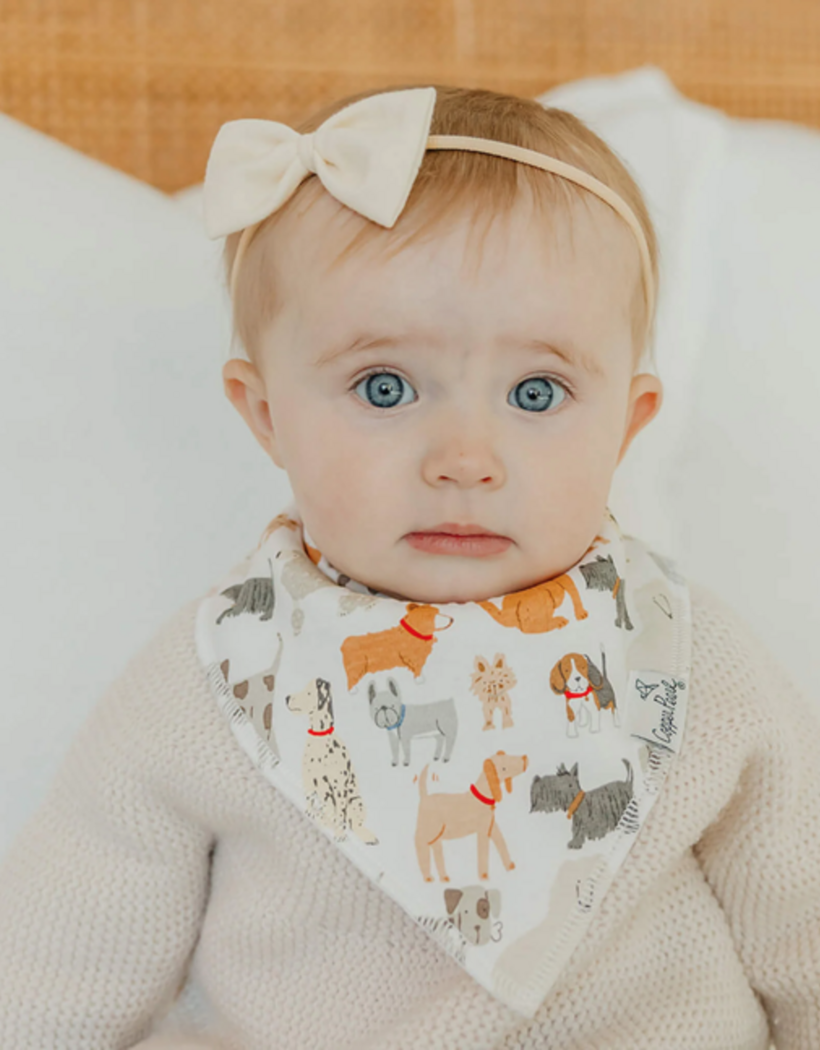 Bandana Bib Set Rufus 4pk