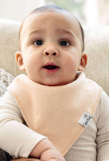 Bandana Bib Set Ryder 4pk