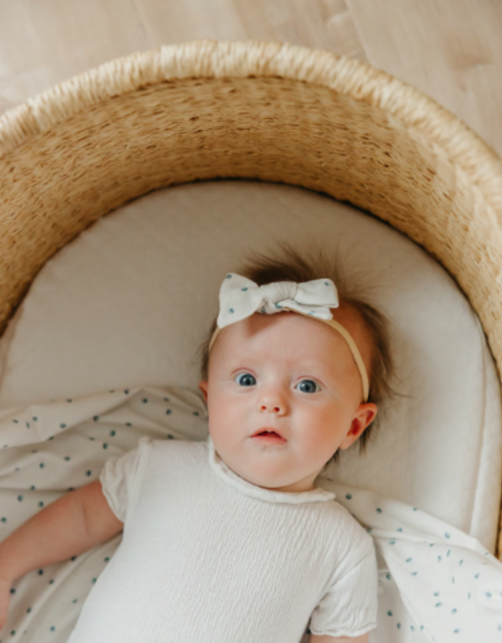 Bowtie Nylon Bow Haze