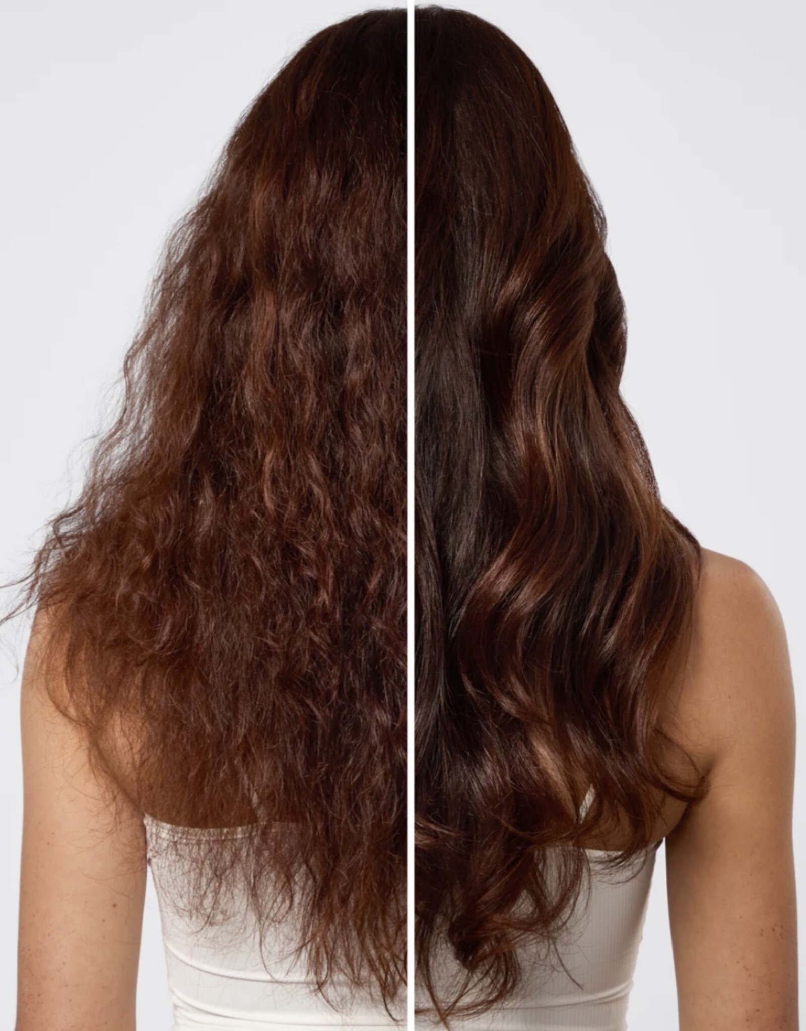 Shampoo Repairing Argan Oil